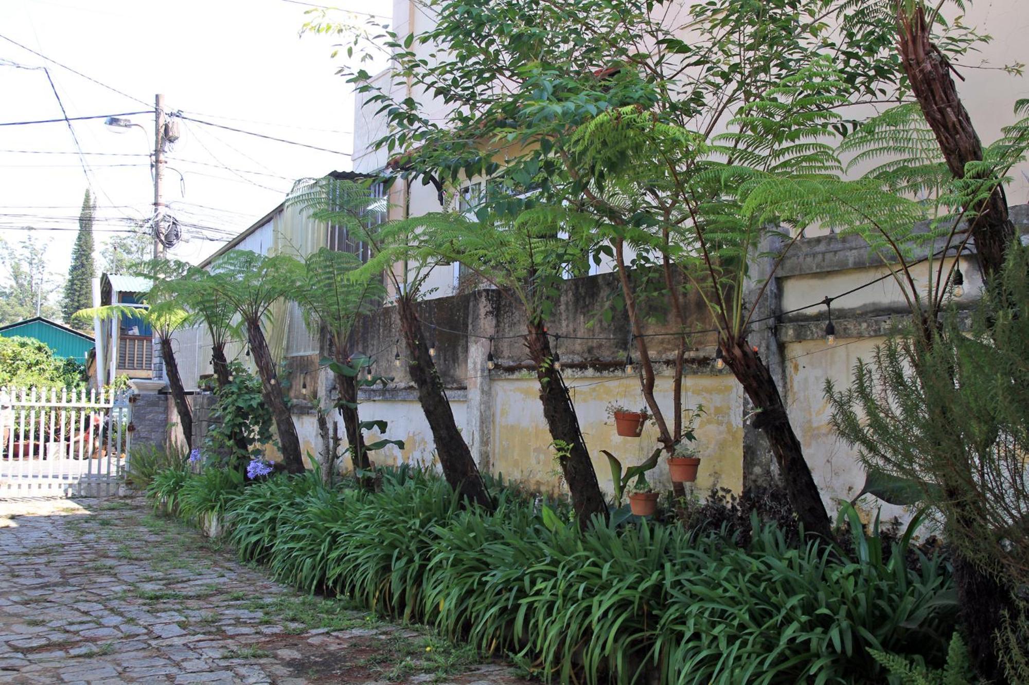 Homestaynhatuiminh Da Lat Eksteriør billede