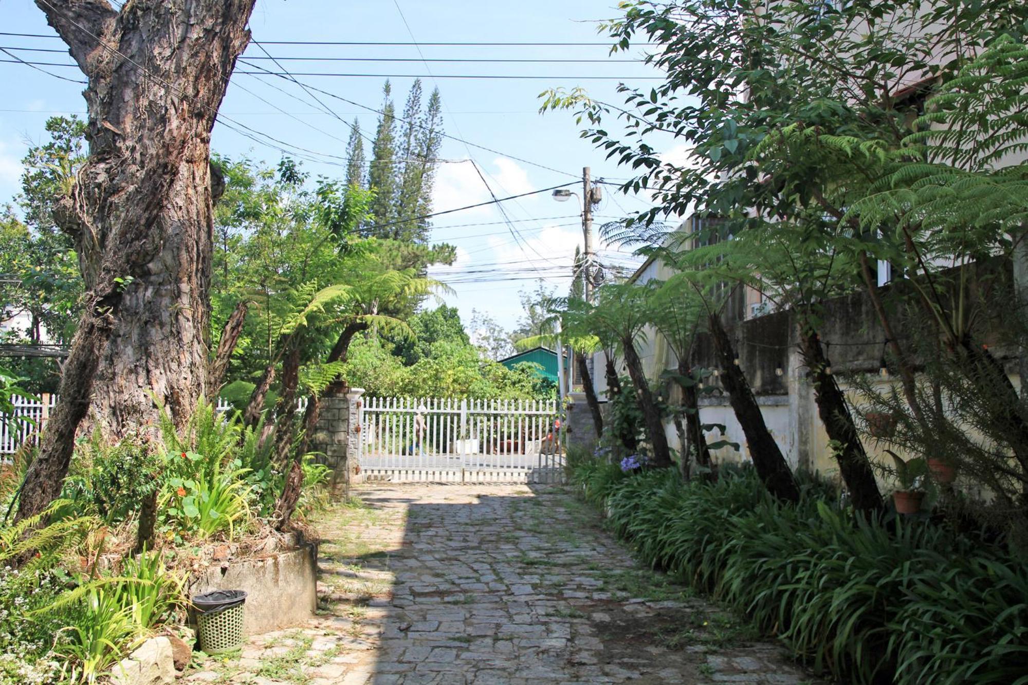 Homestaynhatuiminh Da Lat Eksteriør billede